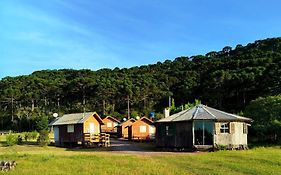 Encanto Das Araucarias