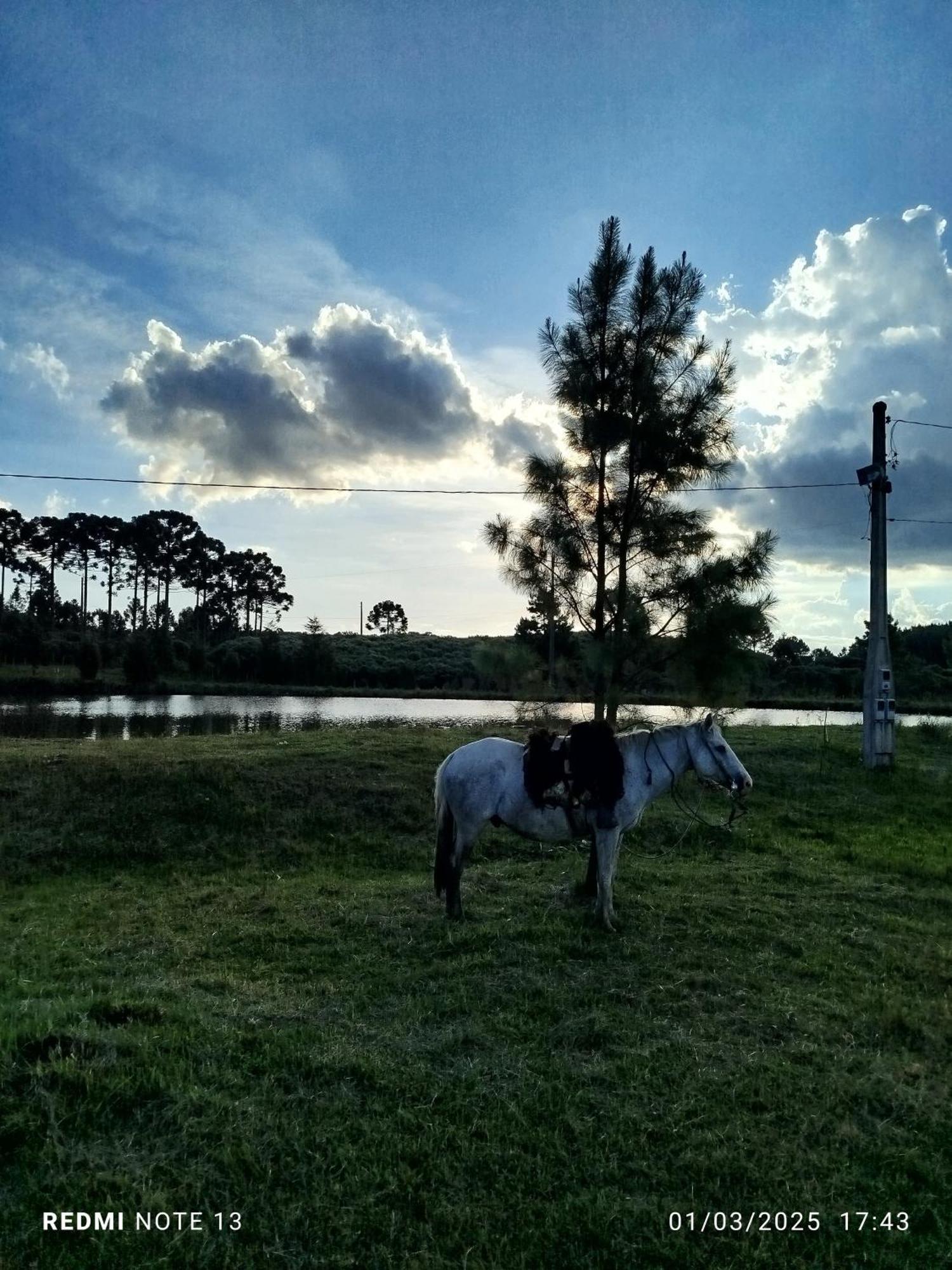 Encanto Das Araucarias Cambará Exterior foto