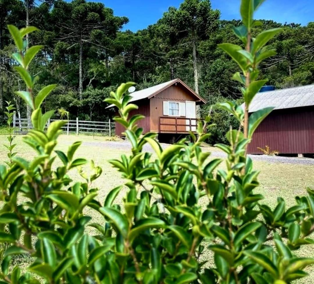 Encanto Das Araucarias Cambará Exterior foto